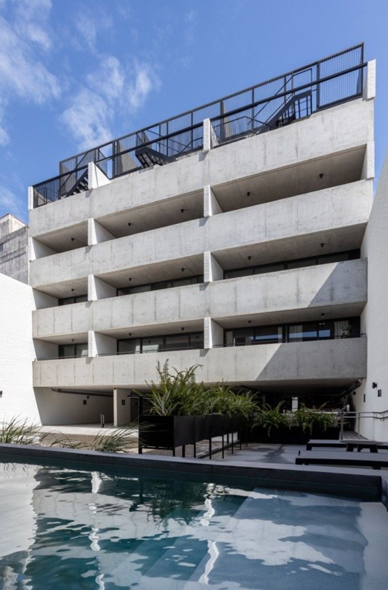 Patio interno con vegetación y circulación del edificio